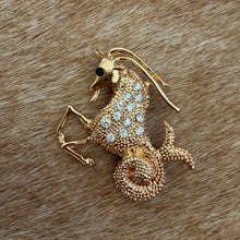 Load image into Gallery viewer, Capricorn Brooch