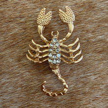 Load image into Gallery viewer, Scorpio Brooch