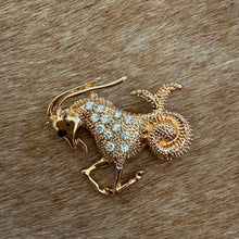 Load image into Gallery viewer, Capricorn Brooch
