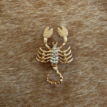 Load image into Gallery viewer, Scorpio Brooch