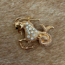 Load image into Gallery viewer, Capricorn Brooch