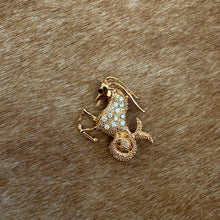 Load image into Gallery viewer, Capricorn Brooch