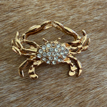 Load image into Gallery viewer, Cancer Brooch