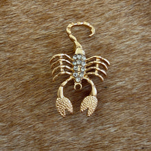 Load image into Gallery viewer, Scorpio Brooch