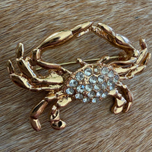 Load image into Gallery viewer, Cancer Brooch
