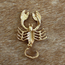 Load image into Gallery viewer, Scorpio Brooch
