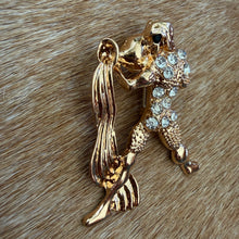 Load image into Gallery viewer, Aquarius Brooch
