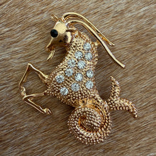 Load image into Gallery viewer, Capricorn Brooch
