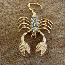 Load image into Gallery viewer, Scorpio Brooch
