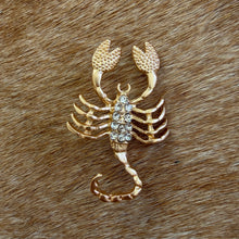 Load image into Gallery viewer, Scorpio Brooch
