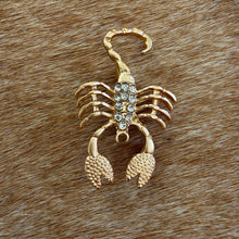 Load image into Gallery viewer, Scorpio Brooch
