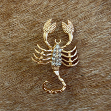 Load image into Gallery viewer, Scorpio Brooch
